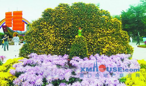 海滄展區菊花爭艷引來如潮游客 展覽將持續到(圖1) 海滄展區菊花爭艷引來如潮游客 展覽將持續到(圖1)