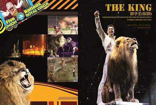 11.7中梁·龍灣首府展廳開放 百萬馬戲團門票等你(圖2) 11.7中梁·龍灣首府展廳開放 百萬馬戲團門票等你(圖2)